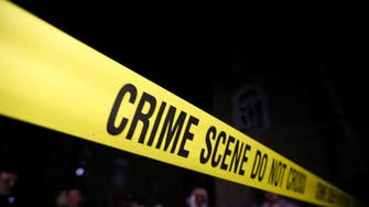 Suspect held after seven killed in ‘random’ Michigan shootings