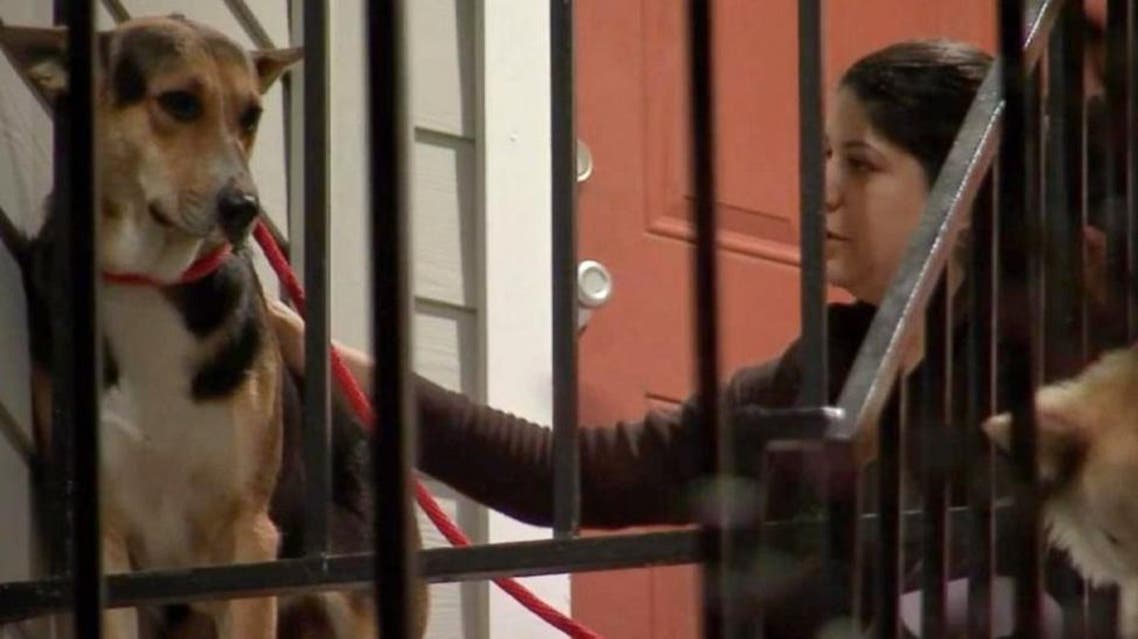 A German Shepherd waited weeks for his owner to return after he was murdered in a Houston convenience store on Feb. 7. (Picture courtesy KTRK)