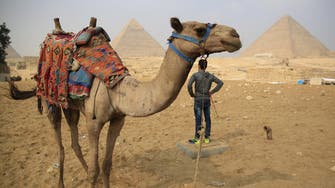 Egypt’s tourism revenues down $1.3 billion since Russian plane crash