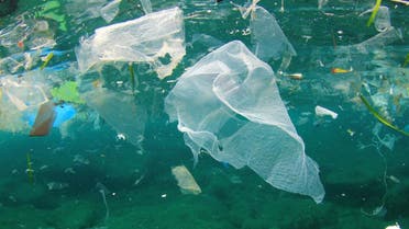 How harmful is litter to us and to our environment? The trash left behind contains disease and is a breeding ground for vermin and bacteria