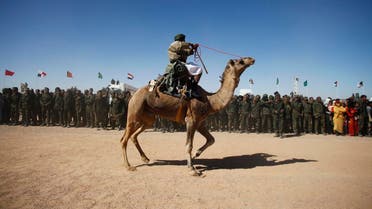 A Sahrawi man rides a camel at the 35th anniversary celebrations of their independence movement for Western Sahara from Morocco. (File photo: Reuters)