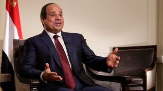 Sisi shuffles cabinet, with focus on economy