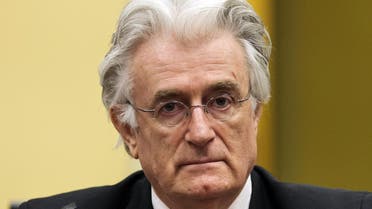 Radovan Karadzic appears in court at the International Criminal Tribunal for Former Yugoslavia (ICTY) in The Hague, Netherlands in this July 11, 2013 file photo. (Reuters)