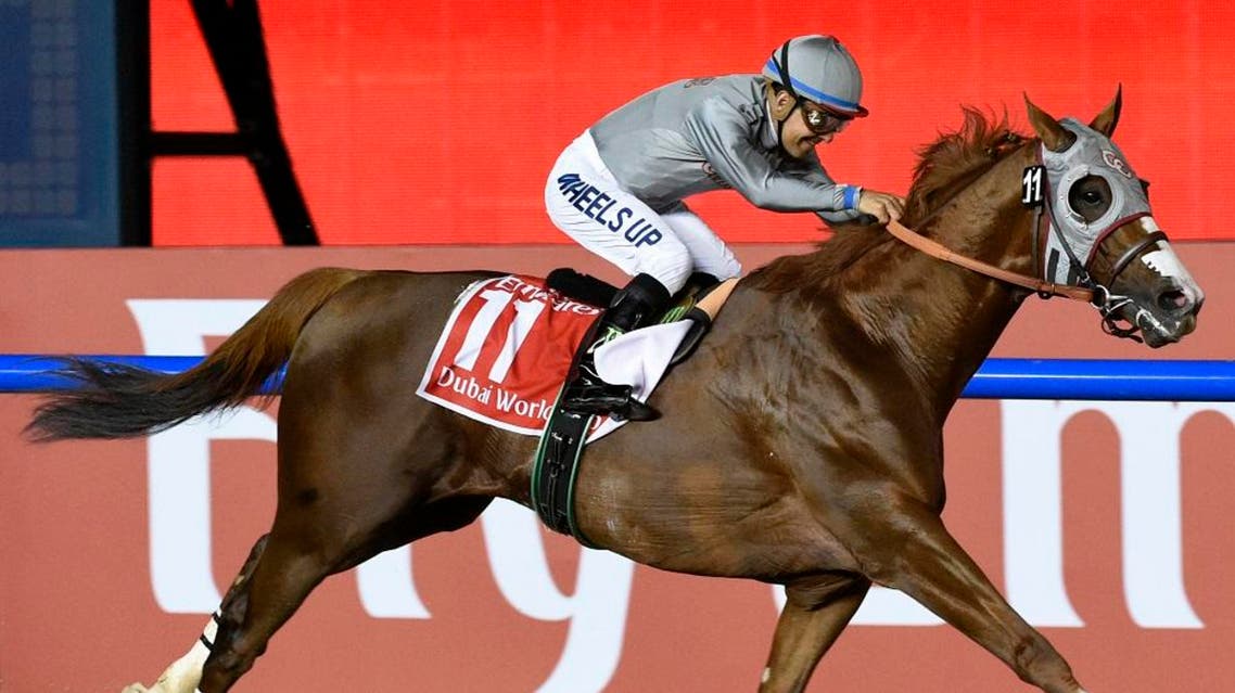 California Chrome from the U.S. ridden by Victor Espinoza crosses the finish line to win the U.S. $ 10,000,000 Dubai World Cup horse racing at the Meydan Racecourse in Dubai, United Arab Emirates, Saturday, March 26, 2016 (AP)