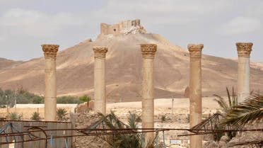 The old citadel of Palmyra is pictured in the background after forces loyal to Syria's President Bashar al-Assad recaptured the city, in Homs Governorate on March 27, 2016. (Photo courtesy SANA