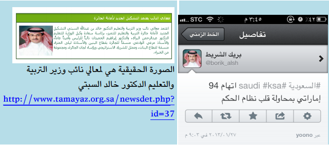 حسابات وهمية تغرق السعوديين في تويتر