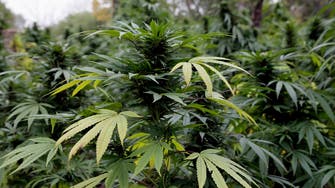 US house votes to decriminalize marijuana at federal level