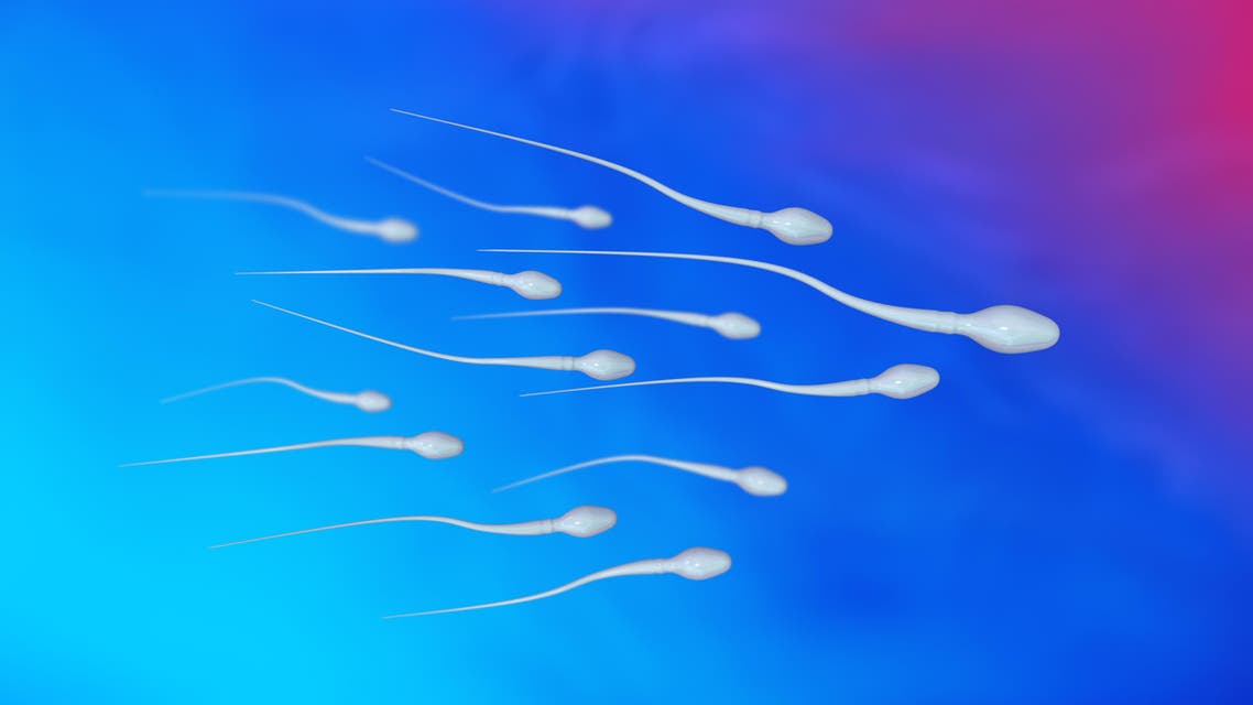 sperm shtterstock