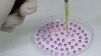 Major breakthrough in lab-grown human embryos