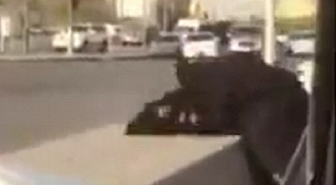 وحين انقضت عليها فوق الفاصل الأسمنتي، راحت تضربها بقبضتها وسددت إليها نطحة
