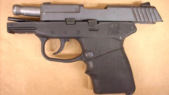Gun used to kill Trayvon Martin sold for $250,000