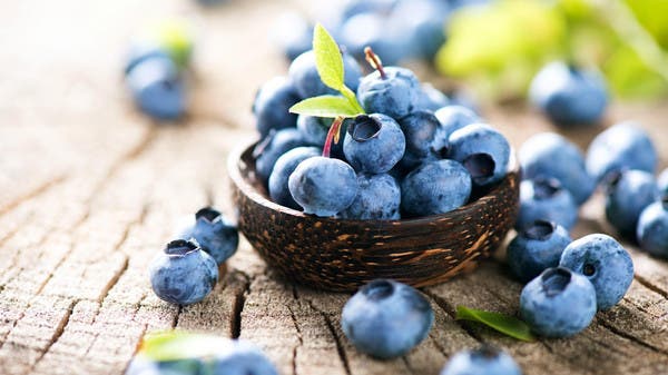 “The Power of Blueberries: Improving Health, Memory, and Longevity”