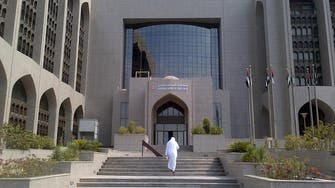 UAE c.bank governor sees no pressure on dirham, forwards volatility limited