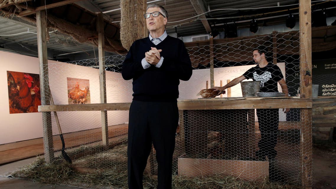 Bill Gates to donate chickens to Africa’s poor