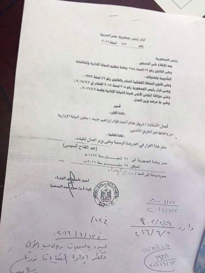 قرار فصل ابنة هشام جنينة