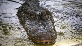Boy killed by alligator mourned at Nebraska funeral