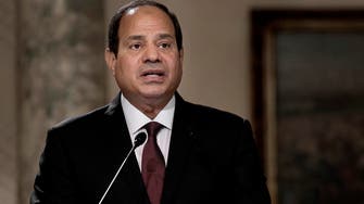 Egypt TV host shuns Twitter after pro-president poll fiasco