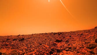 Scientists research (vegetable) life on Mars