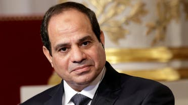 Egyptian President Abdel Fattah al-Sisi delivers a statement following a meeting with French President Francois Hollande at the Elysee Palace in Paris, France November 26, 2014. (Reuters) 