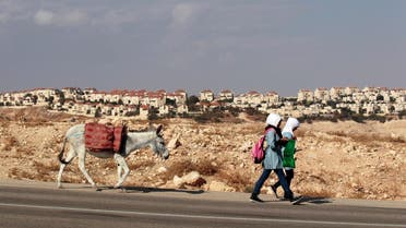 Palestinian schoolgirls walk with a donkey, with the West Bank Jewish settlement of Maale Adumim, near Jerusalem, seen in the background (File Photo: Reuters)