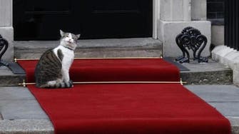 British PMs may come and go, but Larry the cat is here to stay