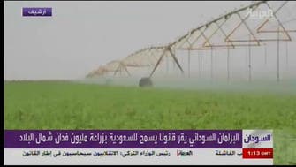 Sudan passes law for Saudi Arabia to cultivate 100 million Feddans