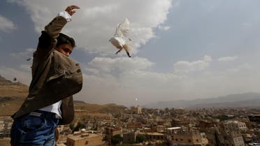 A boy releases a dove as part of a campaign to push Yemeni negotiators to in Kuwait to reach a peace agreement, in Sanaa, Yemen. (Reuters)