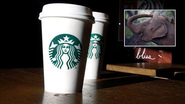 NO elephant dung in Starbucks coffee in the UAE say Dubai officials (Photo: AP)