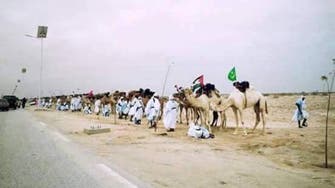 موريتانيا.. 1000 جمل تحمل الأعلام العربية