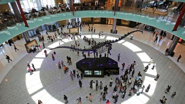 Dubai Mall. AP