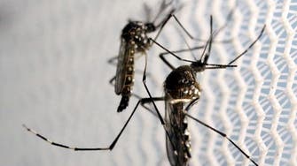 In Florida Zika probe, federal scientists kept at arm’s length