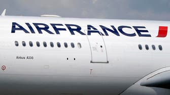 Air France strike grounds 20% of flights