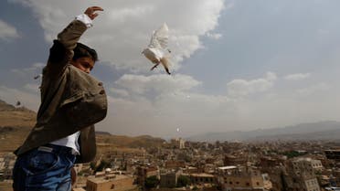 A boy releases a dove as part of a campaign to push Yemeni negotiators to in Kuwait to reach a peace agreement, in Sanaa, Yemen June 29, 2016. REUTERS/