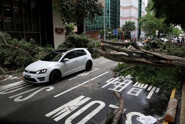 A vehicle drives among trees uprooted by strong winds from Typhoon Nida in Hong Kong, China August 2, 2016. REUTERS