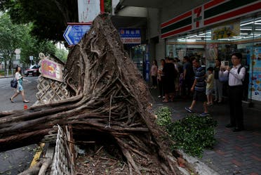A man takes photo of an uprooted tree after Typhoon Nida hit Hong Kong, China August 2, 2016. REUTERS