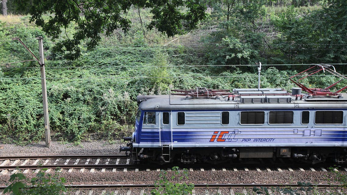 In this Thursday, Sept. 3, 2015 photo, a train passes by the site where local explorer Tadeusz Slowikowski says the Nazis hid a train from the Red Army in early 1945, in Walbrzych, Poland. AP