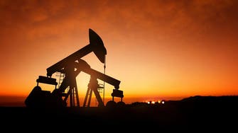Oil steadies as Saudi sees OPEC ‘common position’