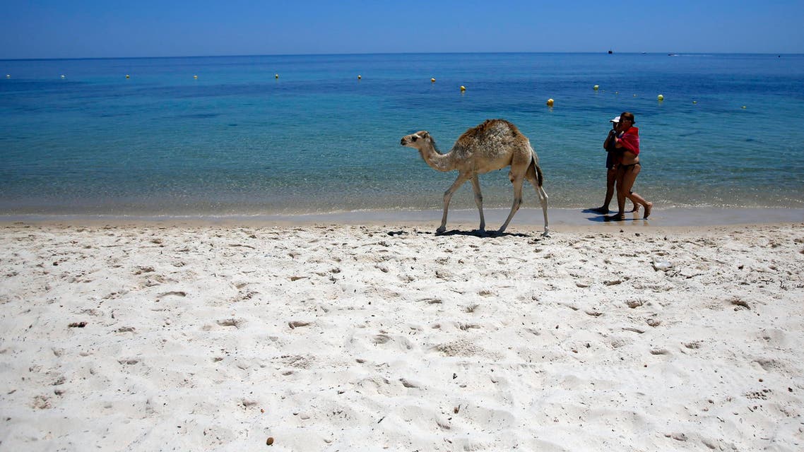 FILE - In this June 28, 2015 file photo, tourists and a baby camel walk on a beach in front of the Imperial Marhaba Hotel in Sousse, Tunisia. The blood on the sand has washed away, but the damage wreaked on Tunisia by a few terrifying minutes of gunfire at a beach resort will be deep and lasting. The tourist economy is likely to be gutted: Up to 2 million hotel nights per year are expected to be lost, hastened by warnings from Britain and other European governments last week that their citizens are no longer safe on . (AP Photo/Darko Vojinovic, File)