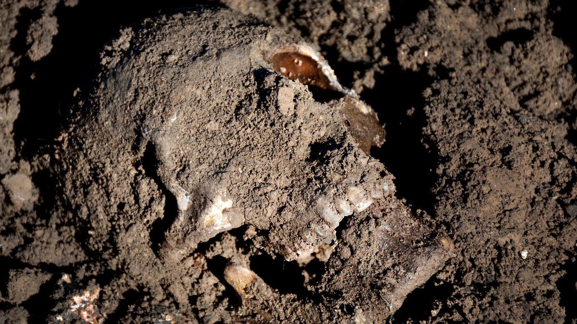 This image released by the the Mass Graves Directorate of the Kurdish Regional Government shows a human skull in a mass grave containing Yazidis killed by Islamic State militants in the Sinjar region of northern Iraq in May, 2015. An analysis by The Associated Press has found 72 mass graves left behind by Islamic State extremists in Iraq and Syria, and many more are expected to be discovered as the group loses territory. (Kurdish Mass Graves Directorate via AP)