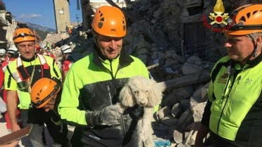 A firefighter holds a rescued dog in Amatrice, central Italy, Thursday, Aug. 25, 2016. (reuters)