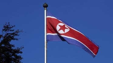 A North Korean flag flies on a mast at the Permanent Mission of North Korea in Geneva October 2, 2014. REUTERS