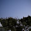 Muslims gather for climax of Hajj pilgrimage