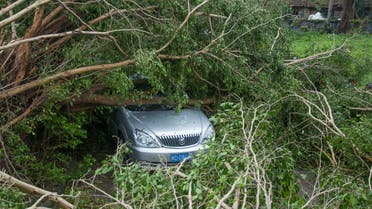 A car is seen under toppled trees after Typhoon Meranti swept through Xiamen, Fujian province, China, September 15, 2016. REUTERS/Stringer ATTENTION EDITORS - THIS IMAGE WAS PROVIDED BY A THIRD PARTY. EDITORIAL USE ONLY. CHINA OUT. NO COMMERCIAL OR EDITORIAL SALES IN CHINA.