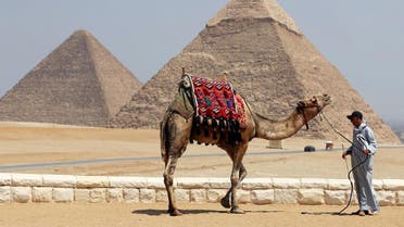A man waits for tourists to rent his camel in front of the Great Giza pyramids on the outskirts of Cairo, Egypt, August 31, 2016. (Reuters)