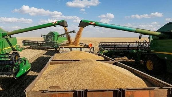 توريد أكثر من 1.6 مليون طن من القمح المحلي منذ بداية الموسم