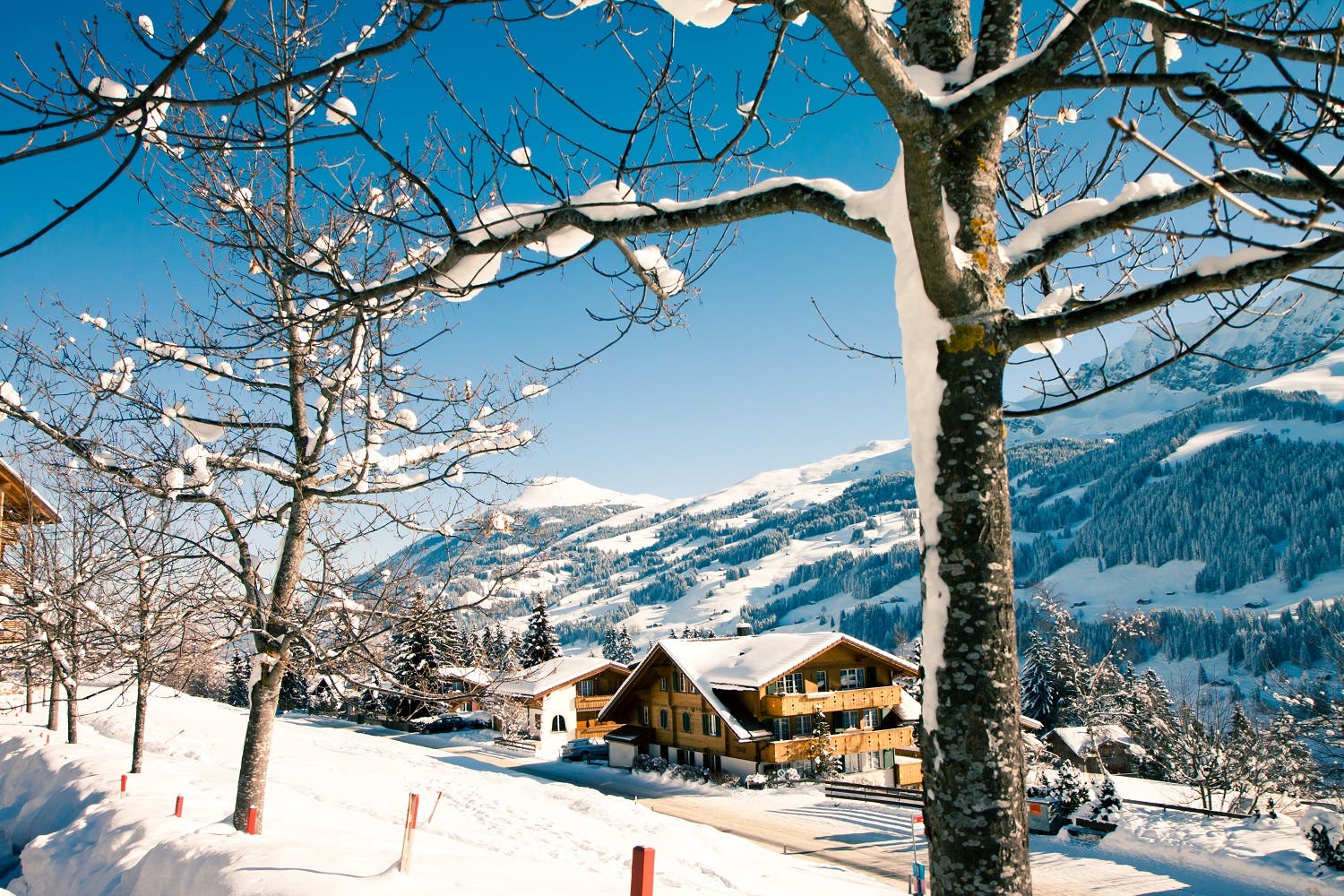 Ski resort snow Shutterstock