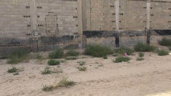 Slaughtering of 6-year-old girl by her stepmother shocks Saudis