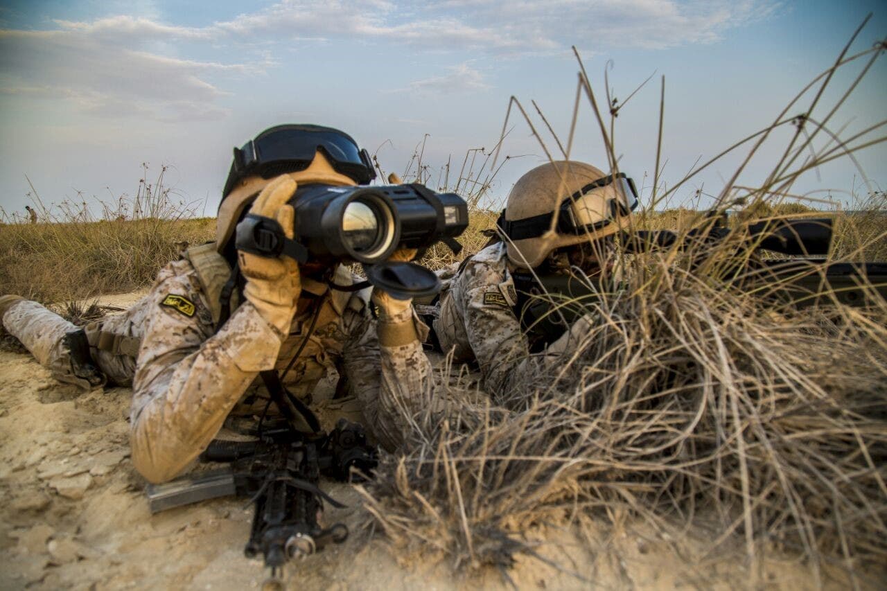 maneuvres saudi arabia bahrain navy