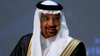 Saudi energy minister urges OPEC to cut output to 32.5 mln bpd