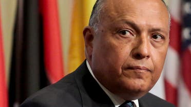 Egypt's Foreign Minister Sameh Shoukry AP
